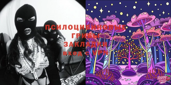прущие крисы Белоозёрский