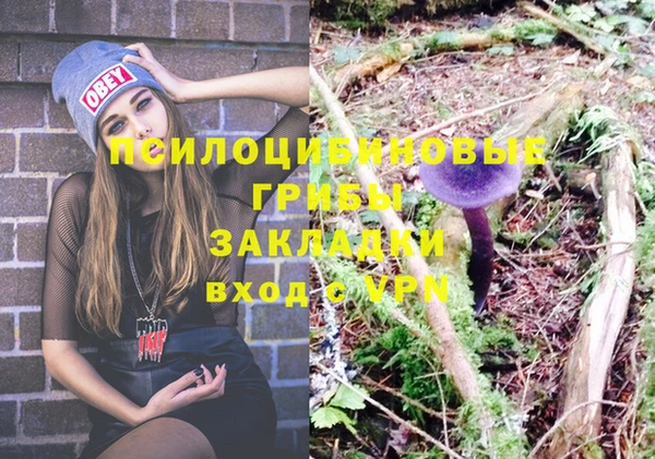 прущие крисы Белоозёрский